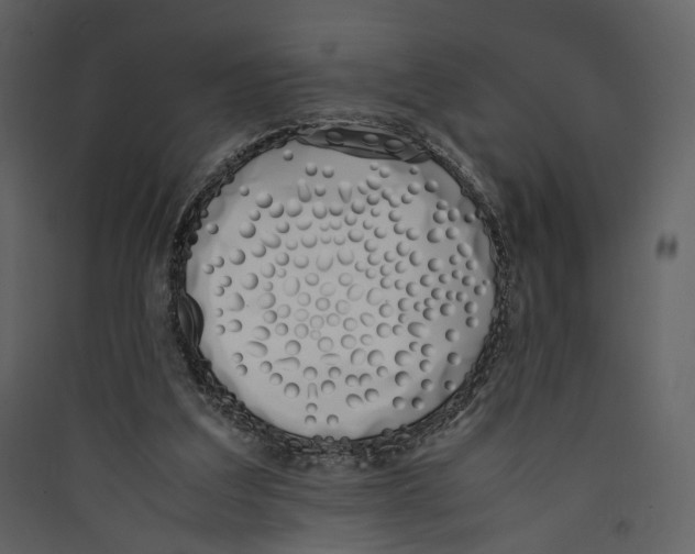 X0000089400203200707131746