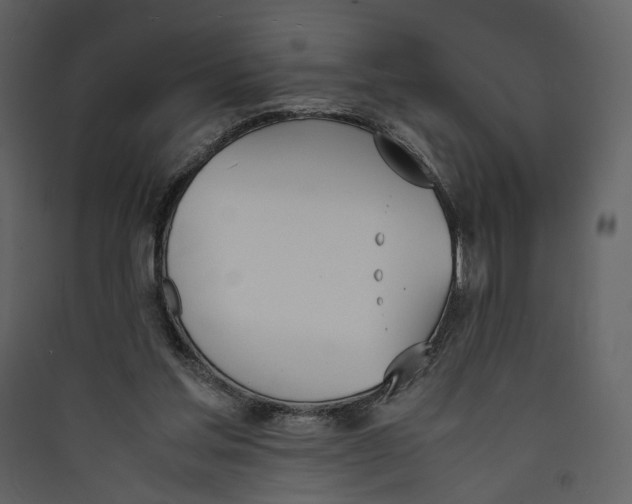 X0000089400205200707131746