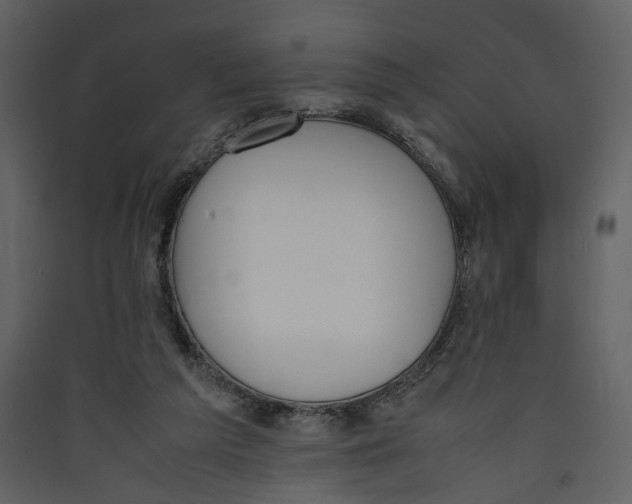 X0000089400209200707131746