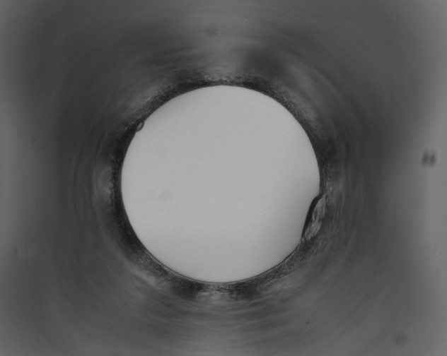 X0000089400211200707131746