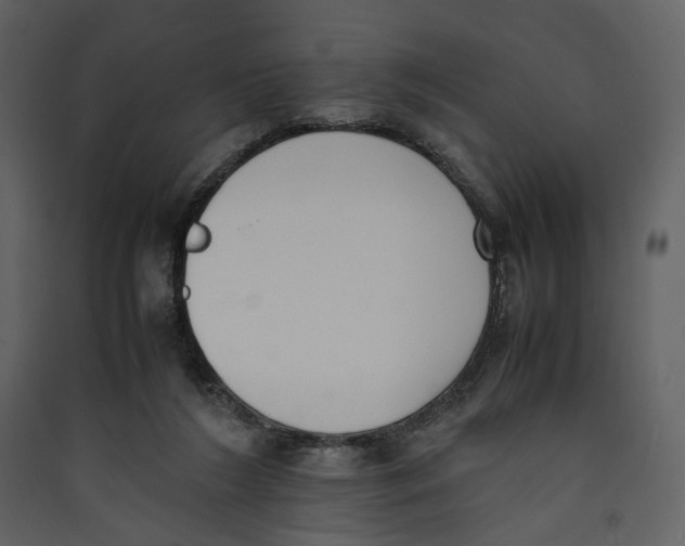 X0000089400212200707131746