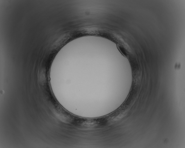 X0000089400213200707131746