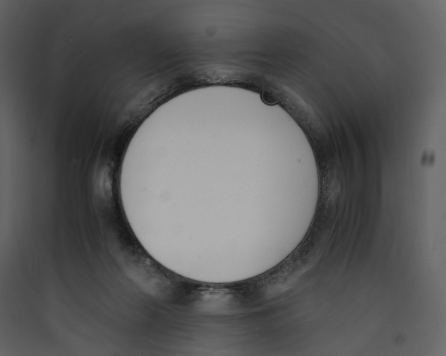 X0000089400214200707131746