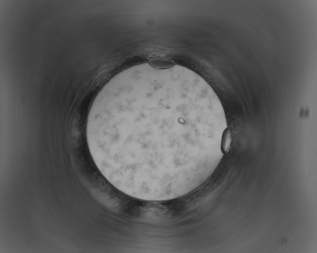 X0000089400215200707131746