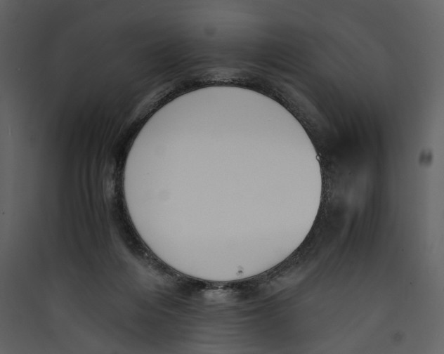 X0000089400216200707131746