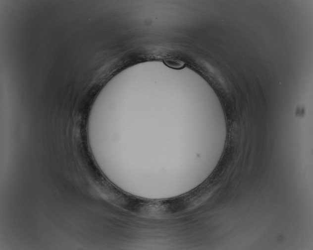 X0000089400217200707131746