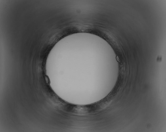 X0000089400221200707131746