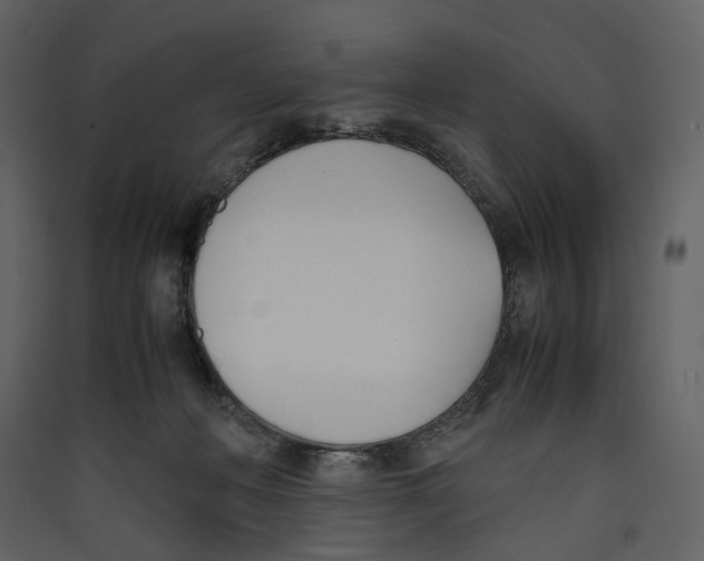 X0000089400222200707131746