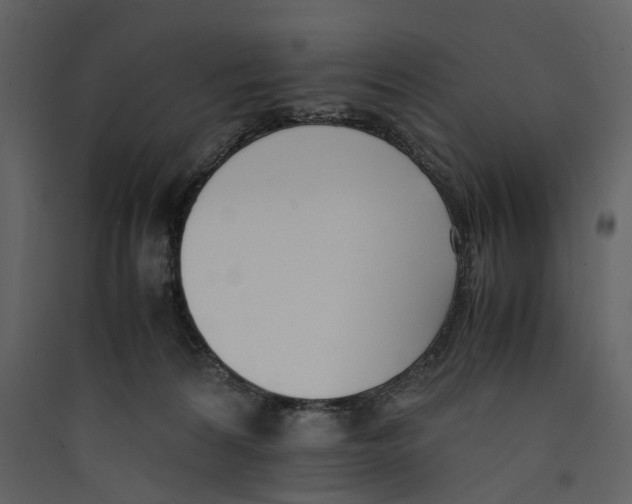 X0000089400224200707131746