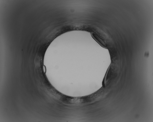 X0000089400225200707131746