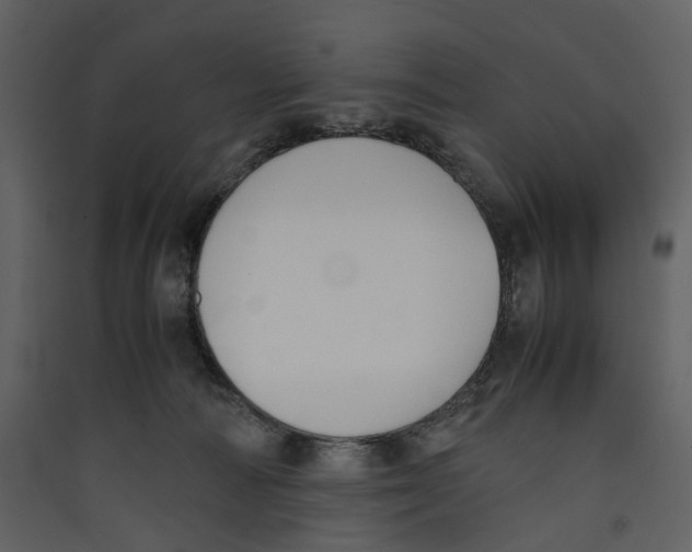 X0000089400226200707131746