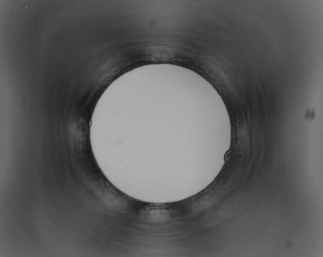 X0000089400228200707131746