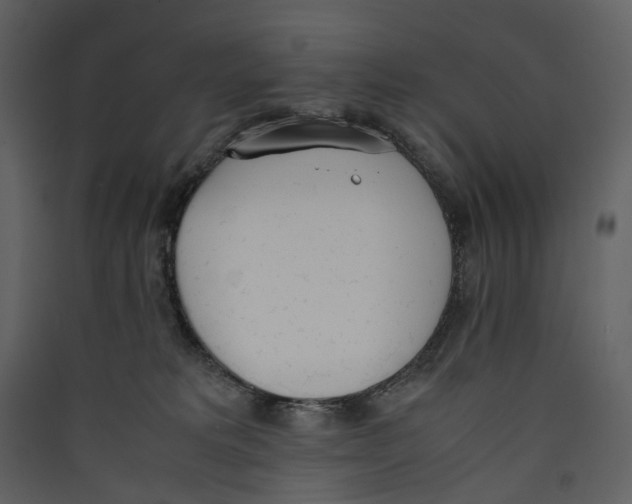 X0000089400229200707131746