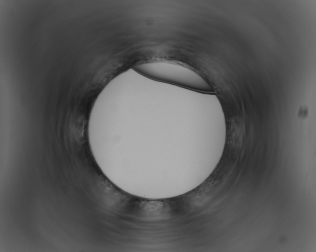 X0000089400230200707131746