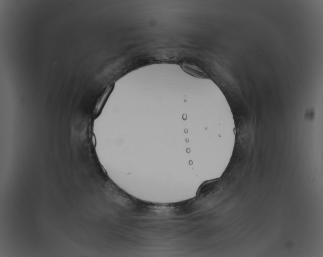 X0000089400233200707131746