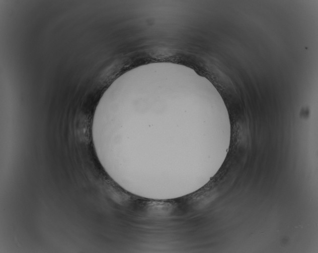 X0000089400234200707131746