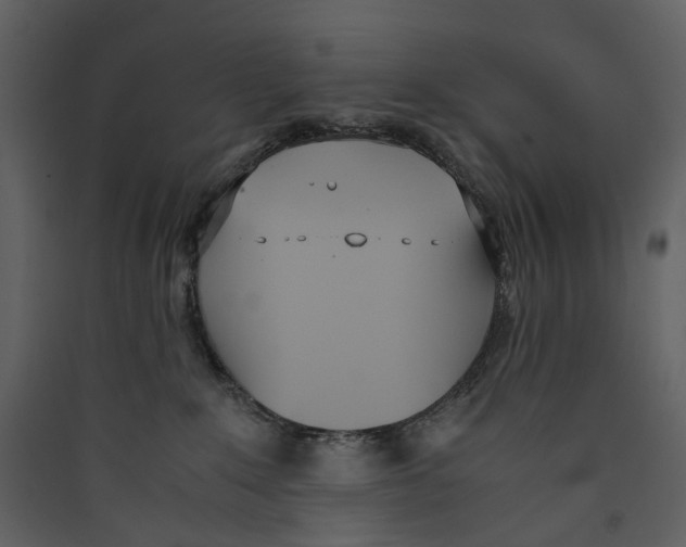 X0000089400235200707131746