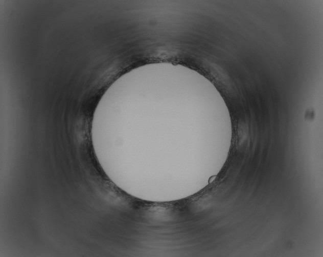 X0000089400236200707131746