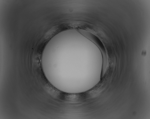 X0000089400237200707131746