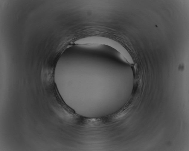 X0000089400239200707131746