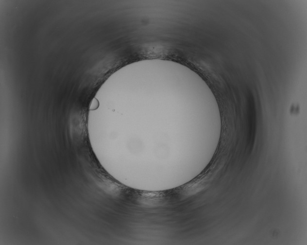 X0000089400240200707131746