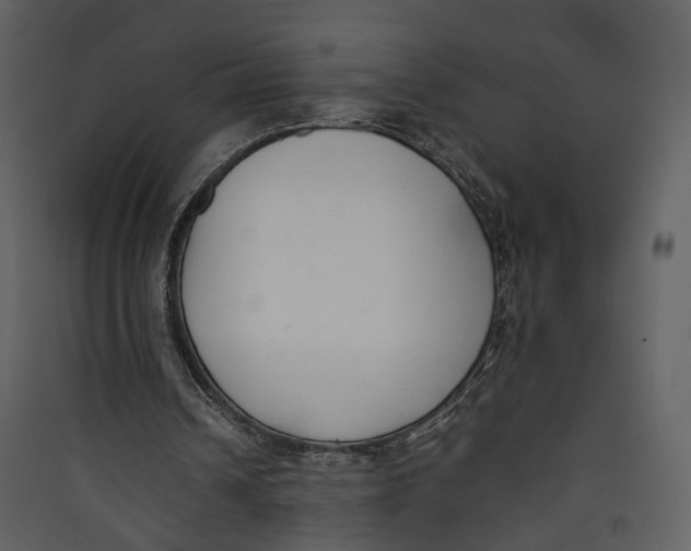 X0000089400242200707131745