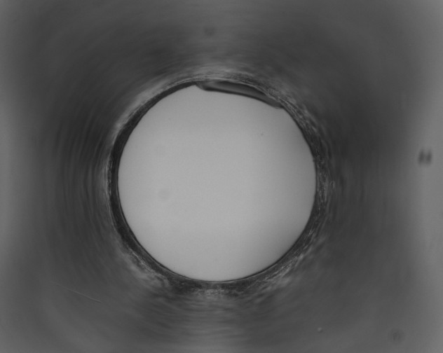 X0000089400244200707131745