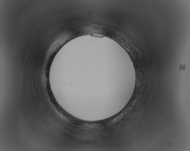 X0000089400245200707131745