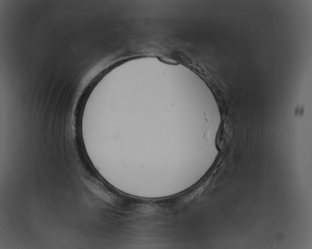 X0000089400246200707131745
