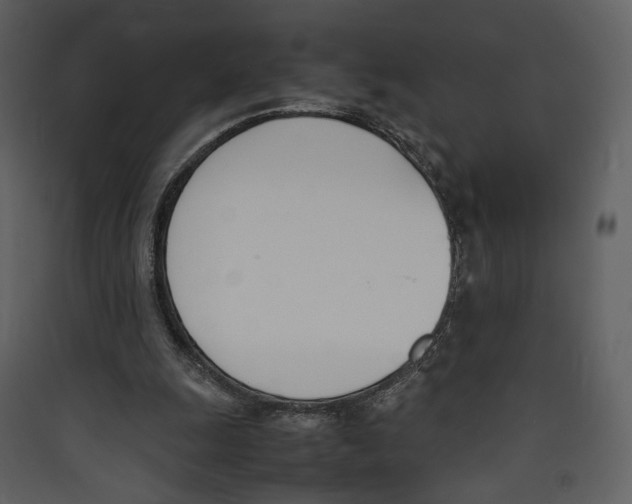 X0000089400247200707131745
