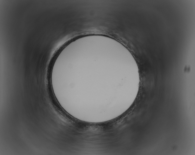 X0000089400248200707131745