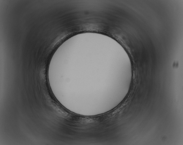 X0000089400249200707131745