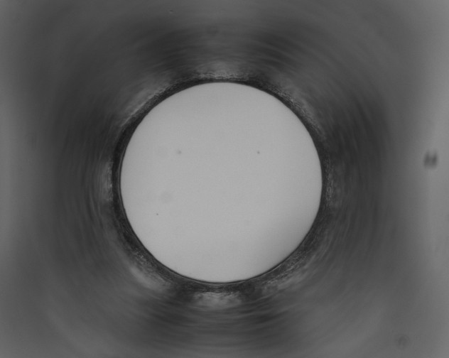 X0000089400251200707131745