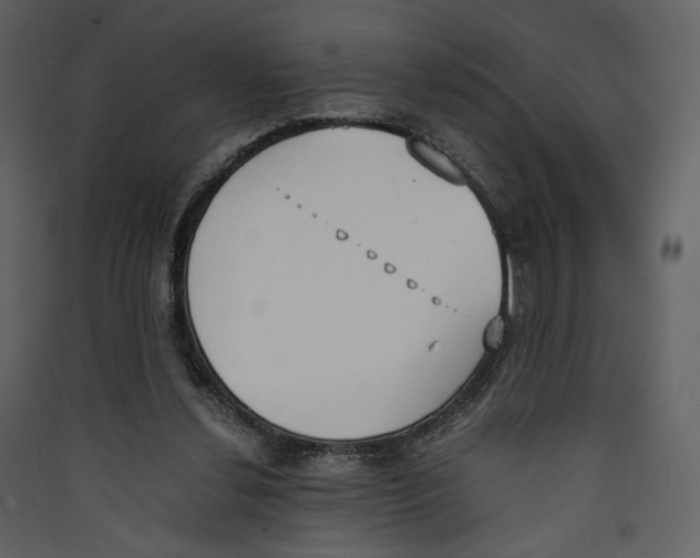 X0000089400252200707131745