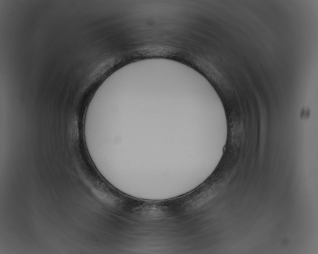 X0000089400254200707131746