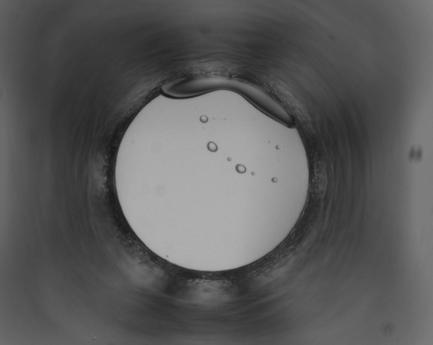 X0000089400255200707131746