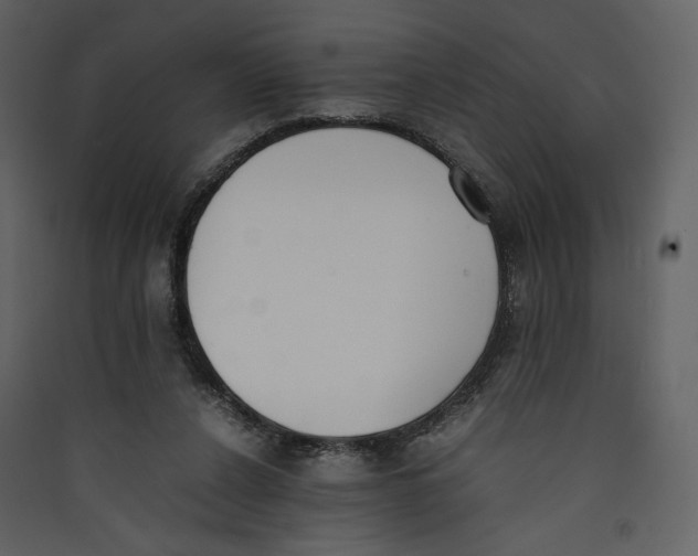 X0000089400256200707131746