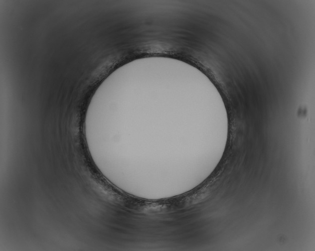 X0000089400257200707131746