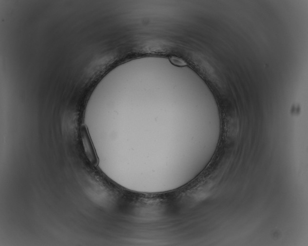 X0000089400260200707131746