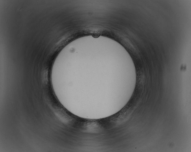 X0000089400262200707131746