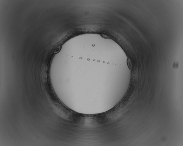 X0000089400264200707131746