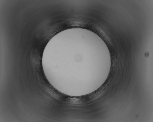 X0000089400265200707131746