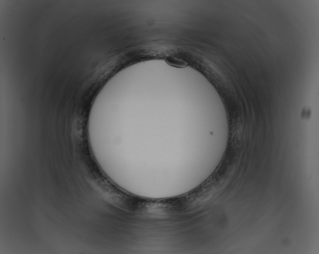 X0000089400268200707131746