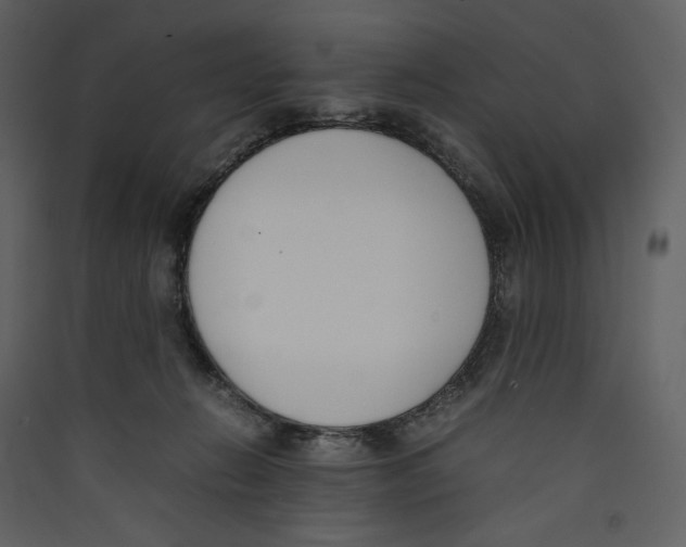 X0000089400270200707131746