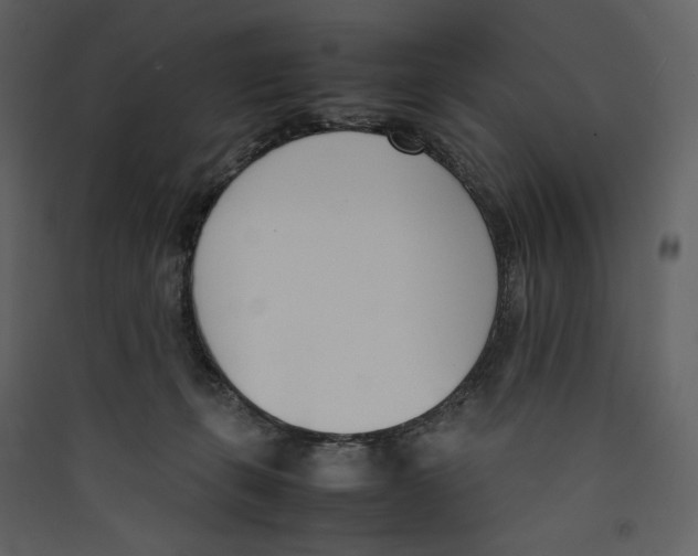 X0000089400271200707131746
