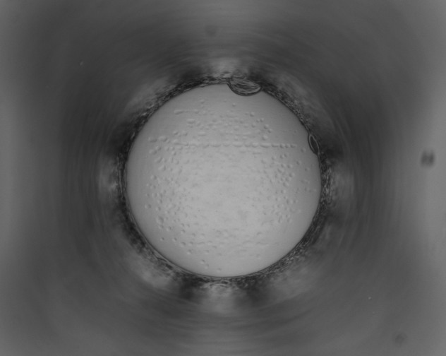 X0000089400272200707131746
