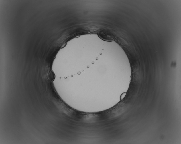 X0000089400274200707131746