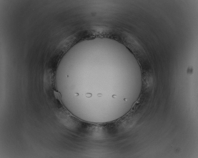 X0000089400276200707131746