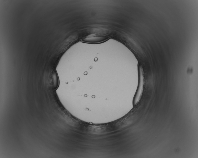 X0000089400277200707131746