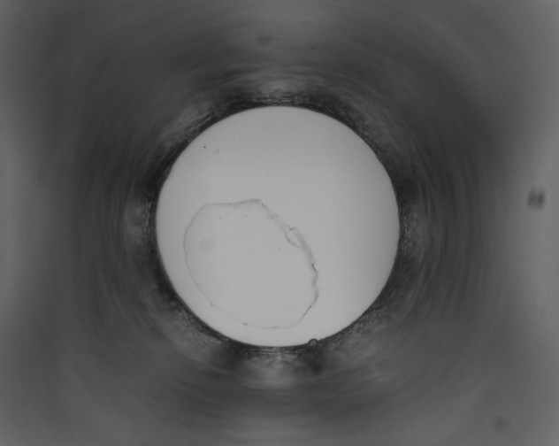 X0000089400278200707131746